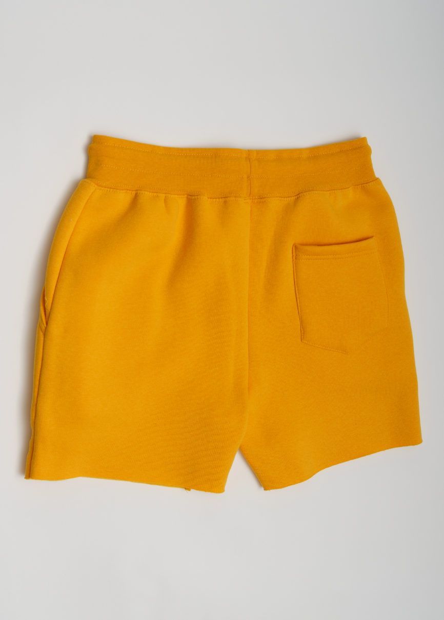 Gold Crop Top Fleece Short Set